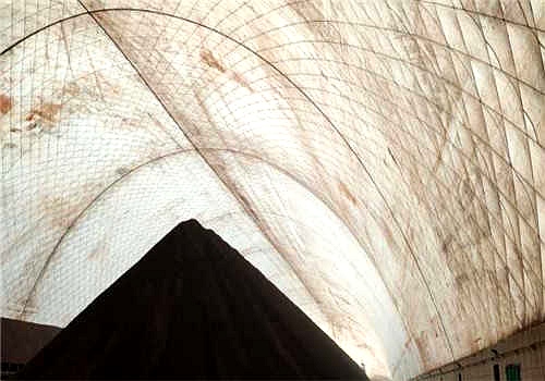 ������Ĥ