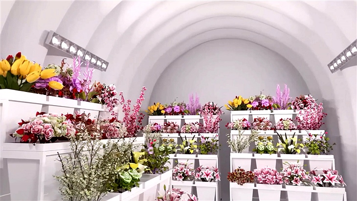 ��Ĥ�ʻ����ʿ�