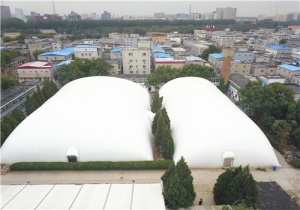 ��̩��Ĥ������