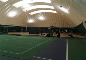 ��Ĥ������