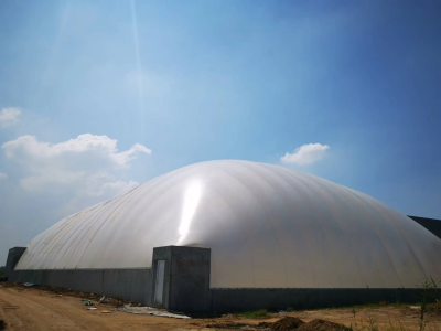 ������Ĥ