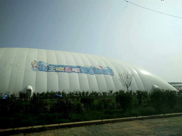 ��ӯ֮�µĶ�Ԫ��������Ĥ�ݵĶ�������